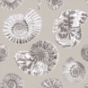 Fossilium Sepia