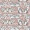 Nocturnal Taupe