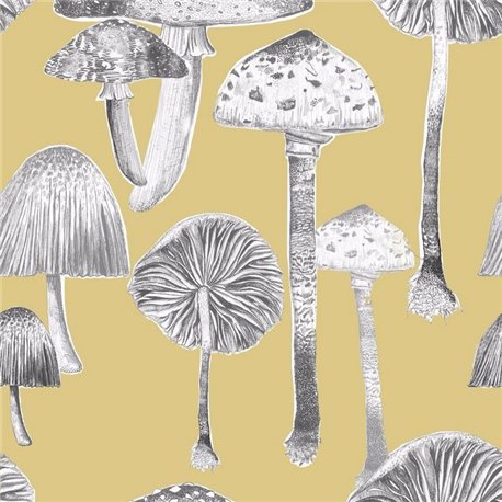 Toadstools Corn Toadstools Corn