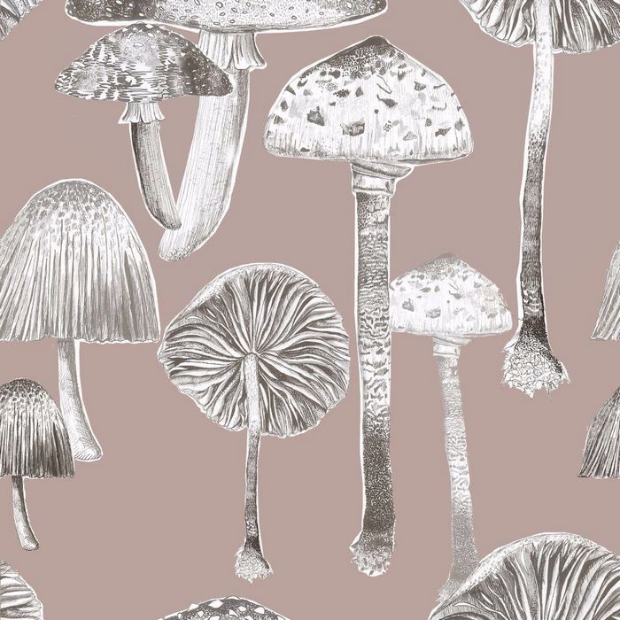 Toadstools Taupe