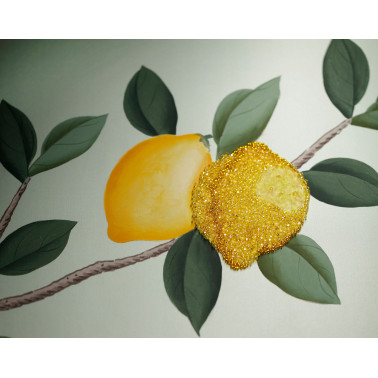 Lemon Grove Standard o Ice...