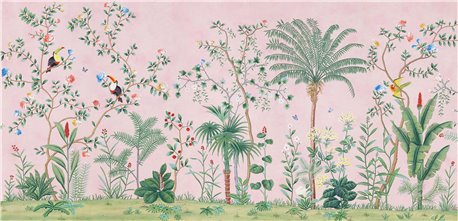 Amazonia Standard on Edo Chalk Pink Xuan paper