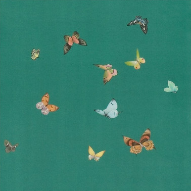 Butterflies Butterflies Emrald on custom green dyed paper