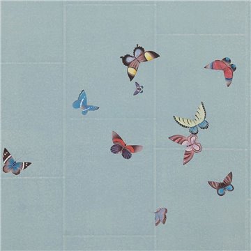 Butterflies Butterflies Icarus on Azure India tea paper