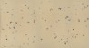 Butterflies Butterflies Icarius on New Faint Gold metallic silk