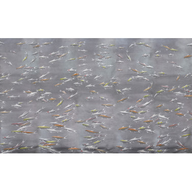 Fishes Koi on Flash...