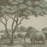 African Savannah Crystal Grey on Scenic paper