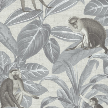 Indian Monkey Dusk Grey DYW0007