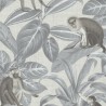 Indian Monkey Dusk Grey DYW0007