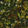 HERBARIUM FOREST GREEN