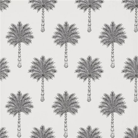 FP755001 Les palmiers Noir Blanc