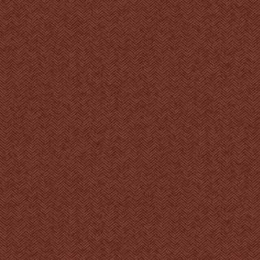 Kaffir Terra HIA404