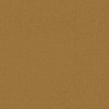 Kao Curry MAG107