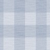 Rugby Gingham LN10812