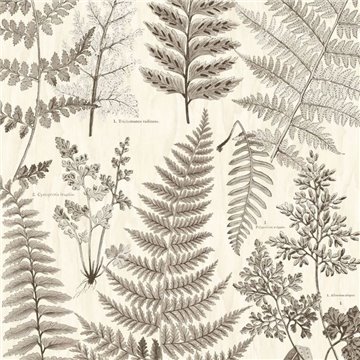 Herbarium Black 309018