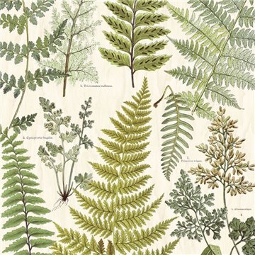 Herbarium Green 309017