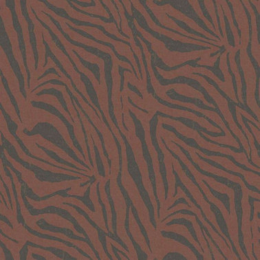Zebra Rhubarb 309066