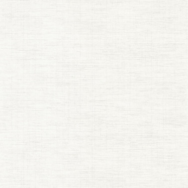 Uni Tissage Blanc Craie 85840100