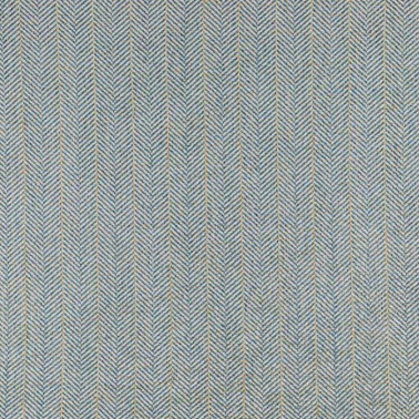 Hirta Col.451