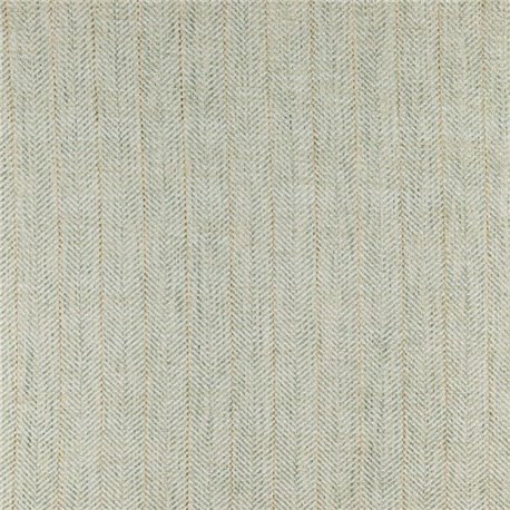 Hirta Col.469