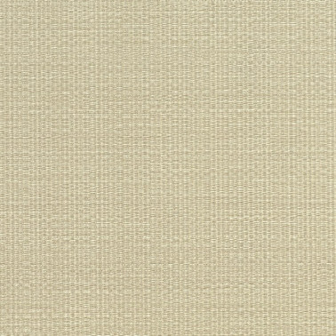 Nikko 24921