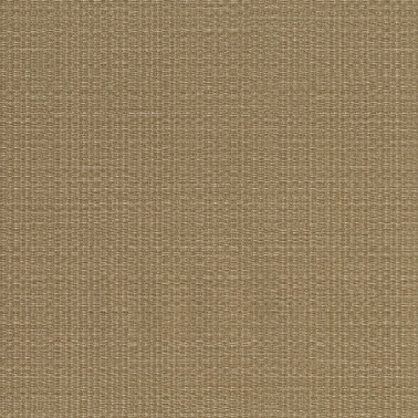 Nikko 24926