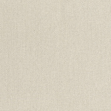 Baobab 6551