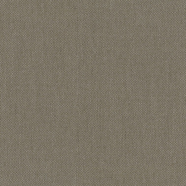 Baobab 6553