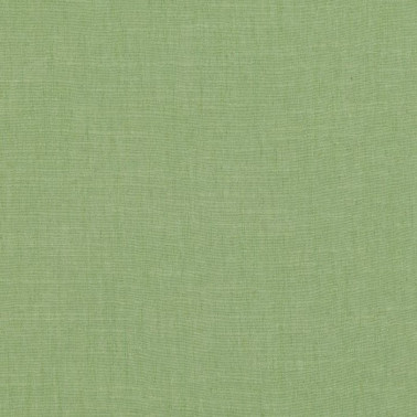 Sulis Kiwi 7817-31