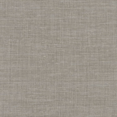 Shinok Gris Fer 73813680