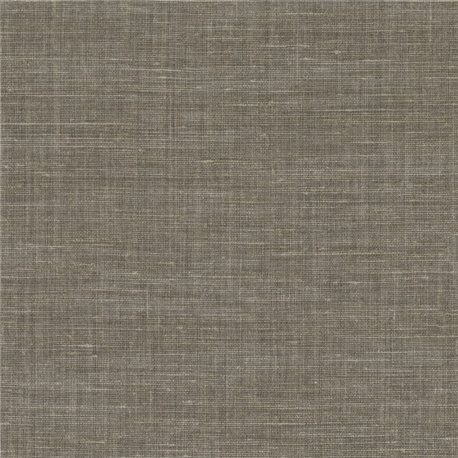 Shinok Gris Taupe 73813782