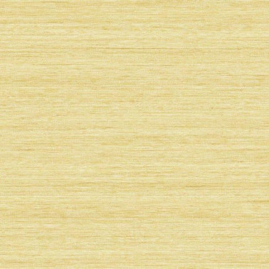 tc70303