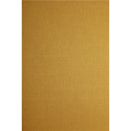 AUDREY 500 GOLD AUDREY 500 GOLD
