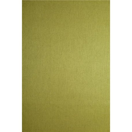 BRILLY 801 HIERBA BRILLY 801 HIERBA