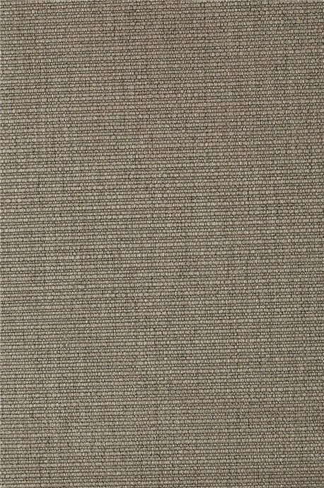 BRILLY 805 TOPO