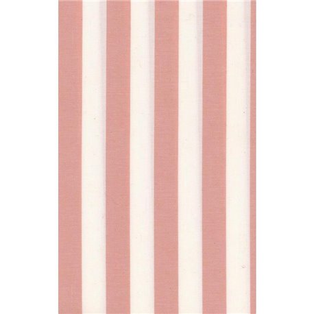 PICCADILLY STRIPES PINK