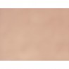 CARANDACHE 42 Apricot