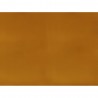 CARANDACHE 51 Mustard