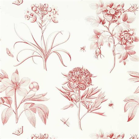 Etchings and Roses Amanpuri Red DOSW217054 Etchings and Roses Amanpuri Red DOSW217054