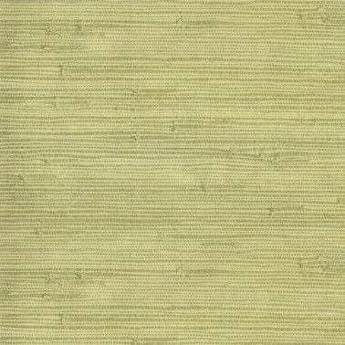 Natural Wallcoverings III 303502.jpeg