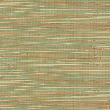 Natural Wallcoverings III 303508.jpeg