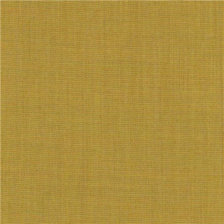 Canvas 2 C0446 Canvas 2 C0446