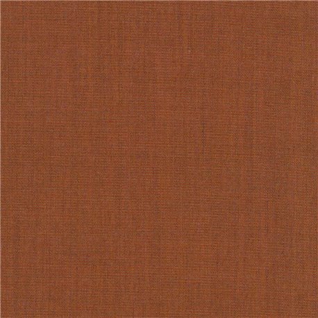 Canvas 2 C0454 Canvas 2 C0454