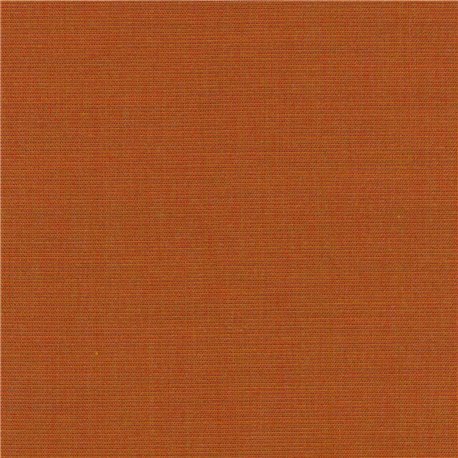 Canvas 2 C0556 Canvas 2 C0556