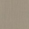 Clara 2 C0248