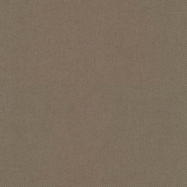 Field 2 C0343