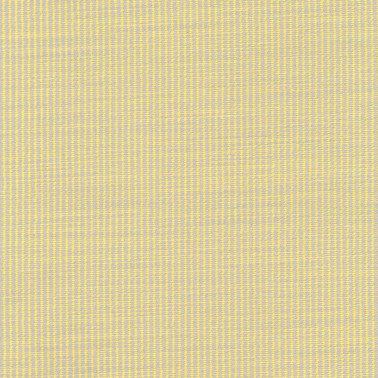 Fuse C0421