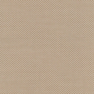 Jaali C0201