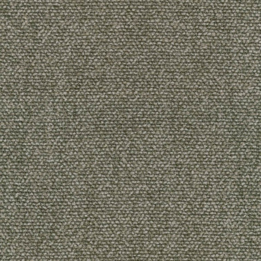 Moss C0002