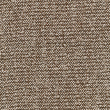 Moss C0013